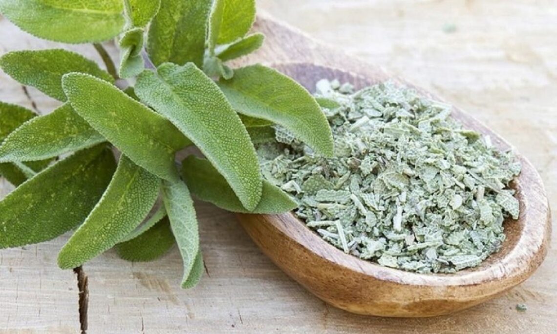 salvia para ansiedade