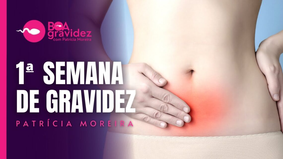 1a-SEMANA-DE-GRAVIDEZ-Gravidez-Semana-a-Semana-Atualizado