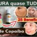 25-Beneficios-Milagrosos-Oleo-de-Copaiba-Diferenca-entre-Resina-e-Essencial-e-Como-Usar