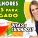 7-Melhores-Chas-para-o-Figado-COMO-FAZER-e-DICAS