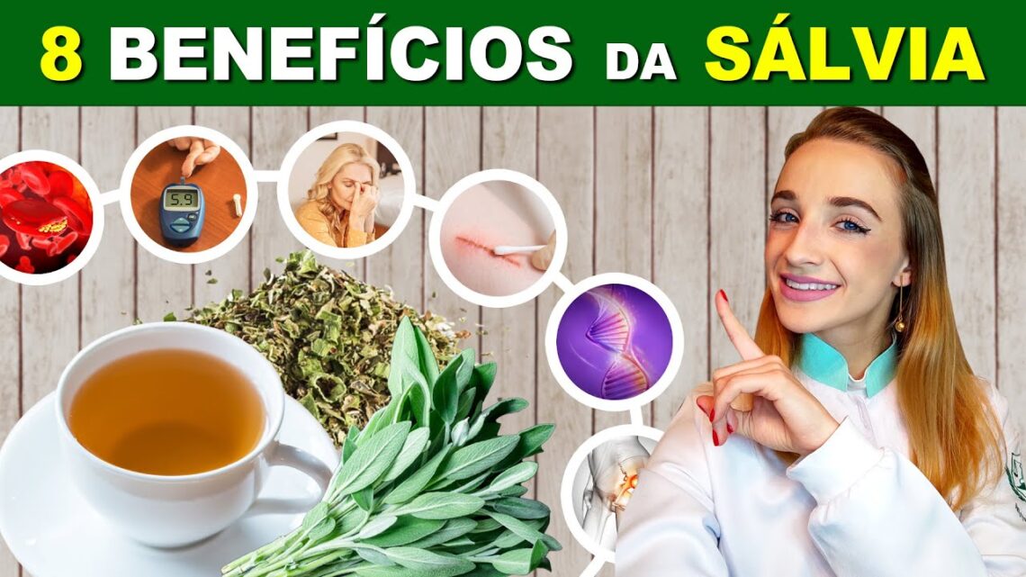 V DEO 8 Benef cios da SALVIA para Sa de Para Que Serve