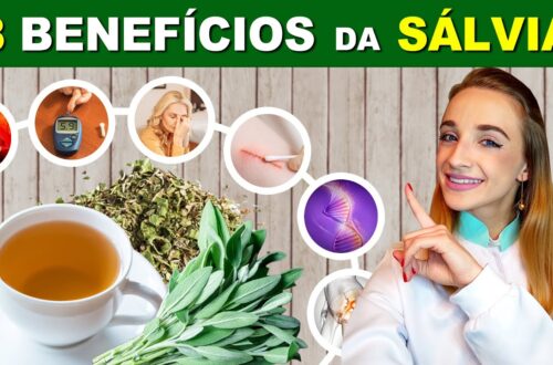 8-Beneficios-da-SALVIA-para-Saude-Para-Que-Serve-Receitas-e-Dicas