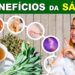 8-Beneficios-da-SALVIA-para-Saude-Para-Que-Serve-Receitas-e-Dicas