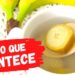 BANANA-COM-AGUA-QUENTE-EM-JEJUM-Veja-O-QUE-ACONTECE-com-Voce-FACA-ASSIM