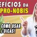 Beneficios-da-Ora-Pro-Nobis-Para-Que-Serve-e-Como-Fazer-EMAGRECE