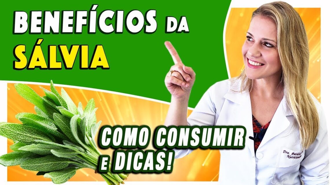 Beneficios-da-Salvia-Para-Que-Serve-Emagrece-E-o-Cha-DICAS