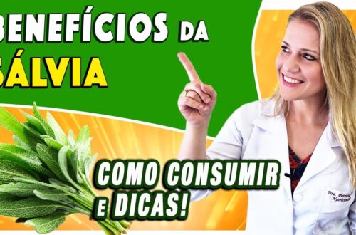 Beneficios-da-Salvia-Para-Que-Serve-Emagrece-E-o-Cha-DICAS