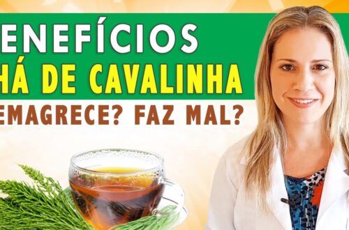 Beneficios-do-Cha-de-Cavalinha-Emagrece-Como-Fazer-Faz-Mal-DICAS-CUIDADOS