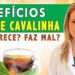 Beneficios-do-Cha-de-Cavalinha-Emagrece-Como-Fazer-Faz-Mal-DICAS-CUIDADOS