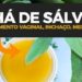 CHA-DE-SALVIA-DESINCHA-DESINFLAMA-E-E-OTIMO-PARA-MULHERES-Dr-Dayan-Siebra