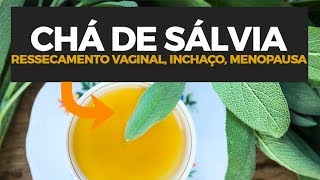 CHA-DE-SALVIA-DESINCHA-DESINFLAMA-E-E-OTIMO-PARA-MULHERES-Dr-Dayan-Siebra