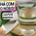 COMECE-A-TOMAR-CHA-DE-ORA-PRO-NOBIS-SUPER-ALIMENTO-APRENDA-A-FAZER-DO-JEITO-CERTO