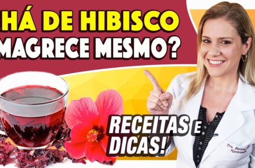 Cha-de-Hibisco-Emagrece-Mesmo-Como-Tomar-RECEITAS-e-DICAS