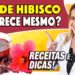 Cha-de-Hibisco-Emagrece-Mesmo-Como-Tomar-RECEITAS-e-DICAS