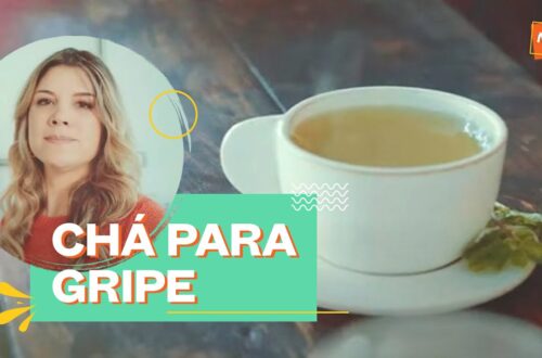 Cha-para-gripe-aprenda-a-fazer-bebida-caseira-Alana-Rox-Diario-de-Uma-Vegana