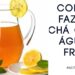 Como-Fazer-Cha-Com-Agua-Fria-Como-Fazer-Cha-Gelado