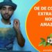 Como-e-extraido-o-Oleo-Essencial-de-Copaiba-na-Amazonia-Doterra-Aromaterapia-Oficial