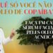 Descubra-o-poder-curativo-da-copaiba-como-oleos-essenciais-podem-tratar-inumeras-doencas-comuns