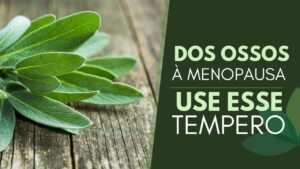 Dos-ossos-a-menopausa-USE-ESSE-TEMPERO