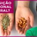 MENOPAUSA-COMO-FAZER-REPOSICAO-HORMONAL-NATURAL-Projeto-0800-391