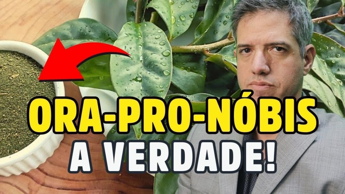 O-SEGREDO-sobre-A-FORMA-CORRETA-DE-USAR-a-ORA-PRO-NOBIS-como-fonte-de-PROTEINA-Dr-Alain-Dutra