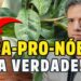 O-SEGREDO-sobre-A-FORMA-CORRETA-DE-USAR-a-ORA-PRO-NOBIS-como-fonte-de-PROTEINA-Dr-Alain-Dutra