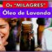 Oleo-de-Lavanda-e-seu-Incrivel-Poder-de-Cura-e-Como-usar-para-emocoes-e-beleza-corretamente