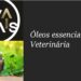 Oleos-Essenciais-para-animais-Veterinaria-Erica-Bettanin