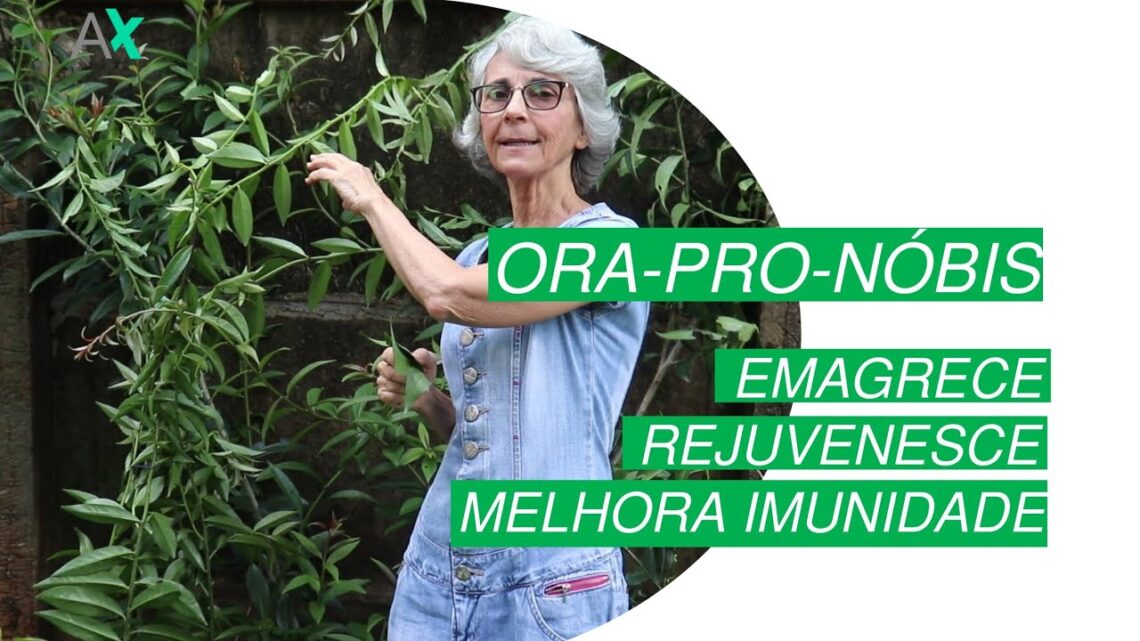 Ora-pro-nobis-Emagrece-Rejuvenesce-Melhora-Imunidade