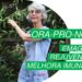 Ora-pro-nobis-Emagrece-Rejuvenesce-Melhora-Imunidade