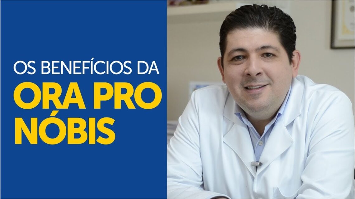 Os-beneficios-da-planta-ORA-PRO-NOBIS-para-a-nossa-saude