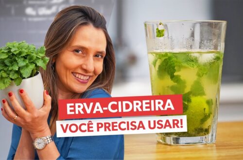 Os-poderosos-beneficios-da-ERVA-CIDREIRA