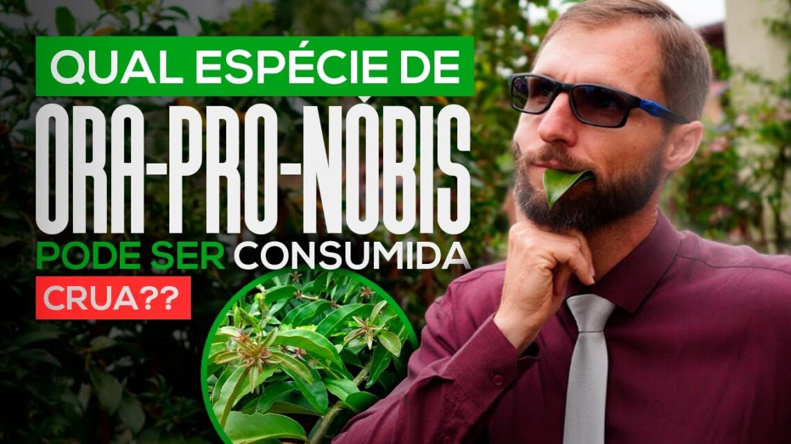 PODE-COMER-ORA-PRO-NOBIS-CRUA-TUDO-QUE-VOCE-PRECISA-SABER-SOBRE-ESSA-INCRIVEL-PLANTA