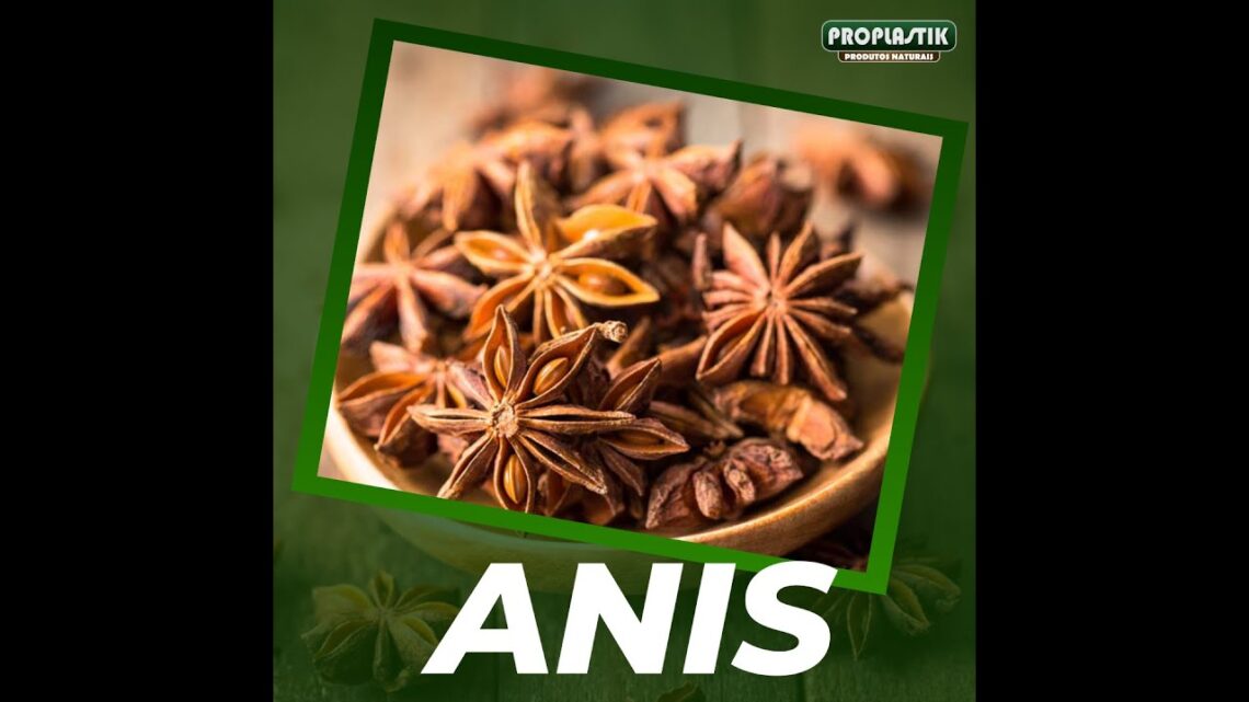 Quais-sao-os-beneficios-do-Cha-de-Anis-Estrelado-Dieta-Cha-Ervas-Cura