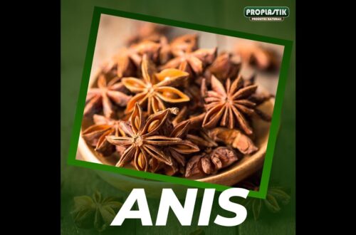 Quais-sao-os-beneficios-do-Cha-de-Anis-Estrelado-Dieta-Cha-Ervas-Cura