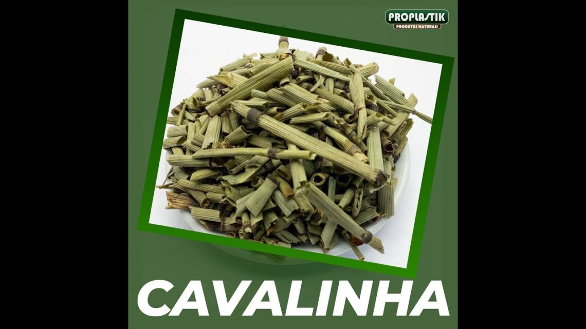 Quais-sao-os-beneficios-do-Cha-de-Cavalinha-Dieta-Cha-Ervas-Cura