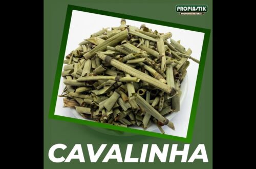 Quais-sao-os-beneficios-do-Cha-de-Cavalinha-Dieta-Cha-Ervas-Cura