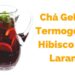 Receita-Como-Fazer-Cha-Gelado-Termogenico-de-Hibisco-com-Laranja