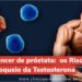 Terapia-hormonal-no-tratamento-do-cancer-de-prostata.-Os-efeitos-do-Bloqueio-da-Testosterona