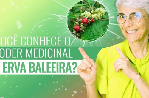 Erva-baleeira-anti-inflamatoria-antibiotica-cicatrizante